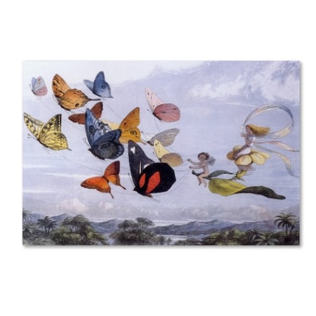 Vintage Apple Collection 'Fairy Butterflies 1' Canvas Art,16x24